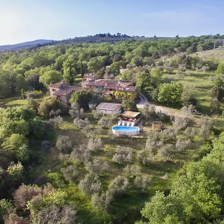 Alloro Rigomagno